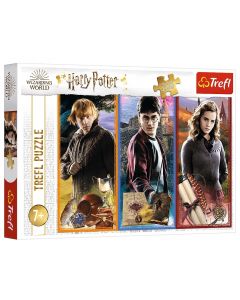 Puzzle 200 elementów W świecie magii i czarów Harry Potter 13277 Trefl
