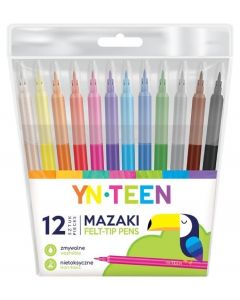 Mazaki 12 kolorów YN Teen Interdruk