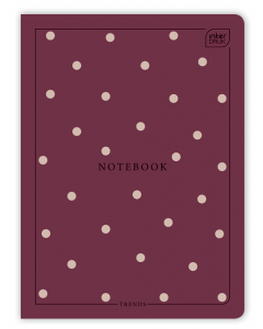 Zeszyt A5 60 kartek linia Notebook Interdruk