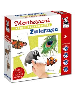 Karty sensoryczne Zwierzęta Montessori Kapitan Nauka