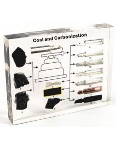 Węgiel (różne) i produkty jego przerobu - 14 próbek zatopionych w tworzywie