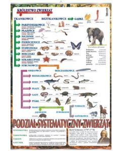 Systematyka zwierząt - plansza dydaktyczna