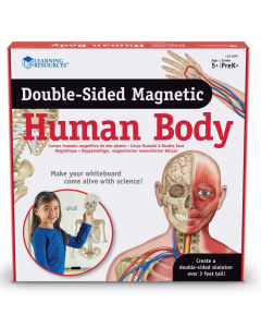 Ciało człowieka - magnetyczne ilustracje