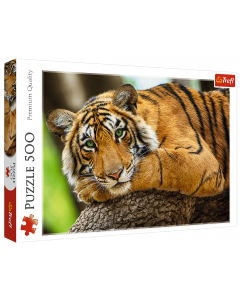 Puzzle 500 elementów Portret tygrysa 37397 Trefl