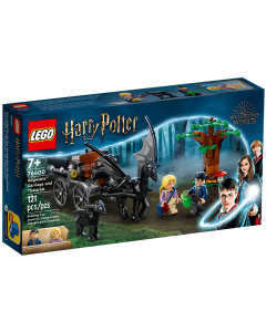 Testrale i kareta z Hogwartu 76400 Lego Harry Potter