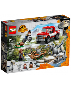 Schwytanie welociraptorów Blue i Bety 76946 Lego Jurassic World