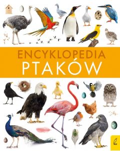 Encyklopedia ptaków Oprawa Twarda