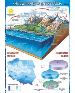 Obieg wody w przyrodzie - plansza dydaktyczna