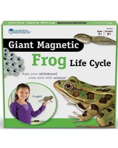 Żaba - Cykl życia