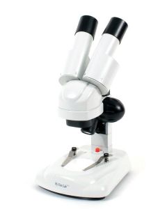 Mikroskop Stereo