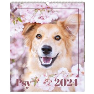 Kalendarz 2024 ścienny na spirali Psy Interdruk