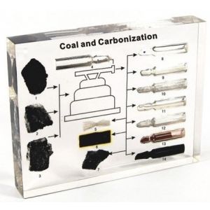 Węgiel (różne) i produkty jego przerobu - 14 próbek zatopionych w tworzywie