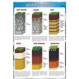 Profile glebowe - plansza dydaktyczna