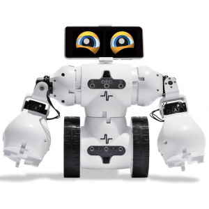 Fable Go - AI Robot