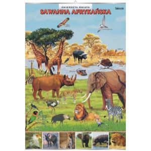 Sawanna afrykańska - plansza dydaktyczna
