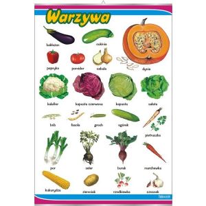 Warzywa - plansza dydaktyczna